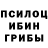 Псилоцибиновые грибы Magic Shrooms Zarathustra 1